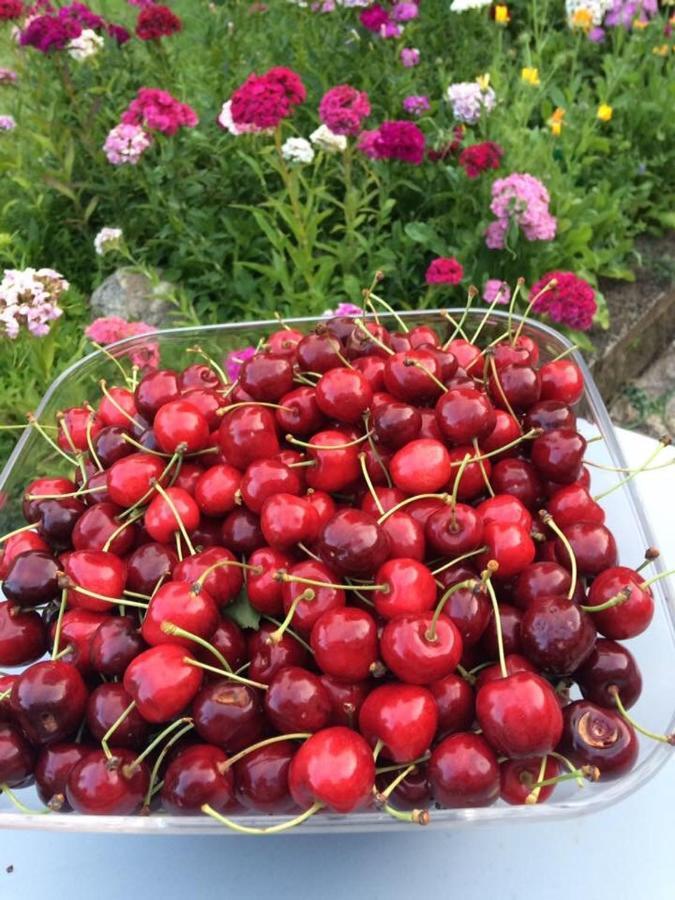에스콜리베상테카밀 Entre Canal Et Vignes B&B 외부 사진